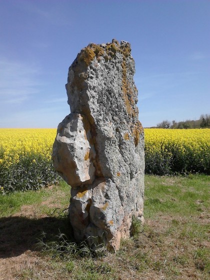 Le menhir en mai 2016