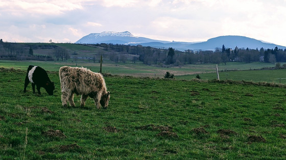 Le M&eacute;zenc, environs de La Vastres le 21 mars 2026