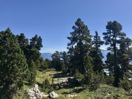 Le Mont-Blanc en ligne de mire