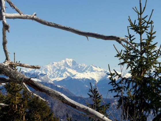 Le Mont Blanc