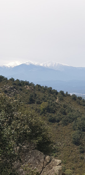 Le mont Canigou et son chapeau de neige