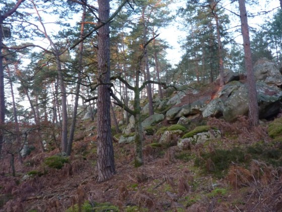 Le Mont Chauvet