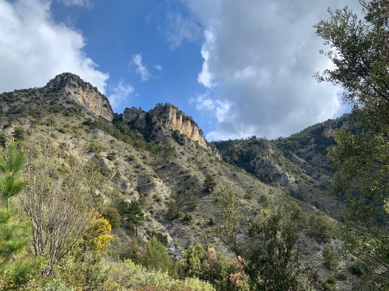 Le Mont Colombin