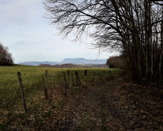 Le mont du Chat