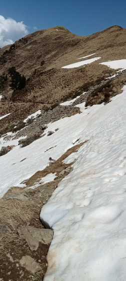 Le Mont du Lys depuis le col