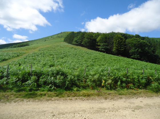 Le mont errebi