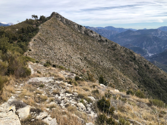 Le Mont Farloude