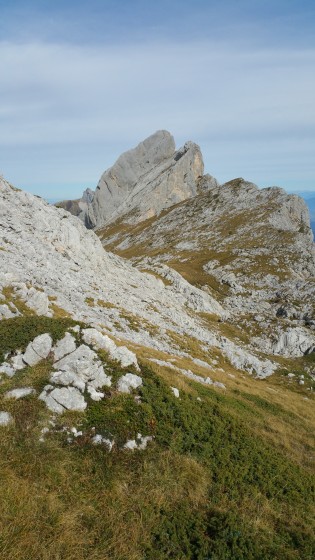 Le Mont Gerbier