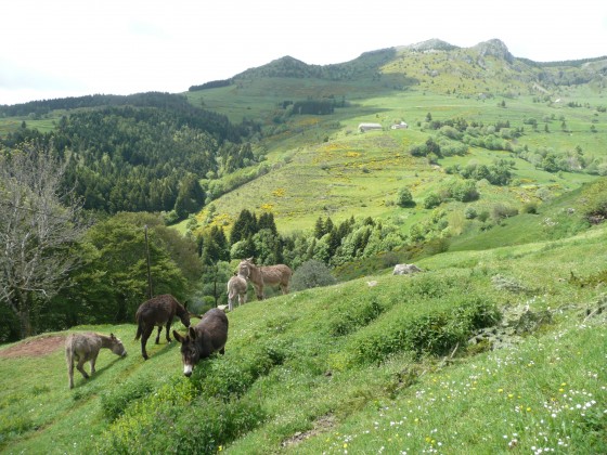 Le Mont Mezenc