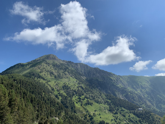 Le Mont Saccarel
