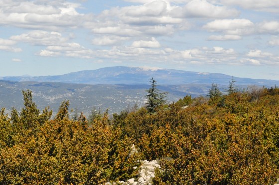 le mont Ventoux
