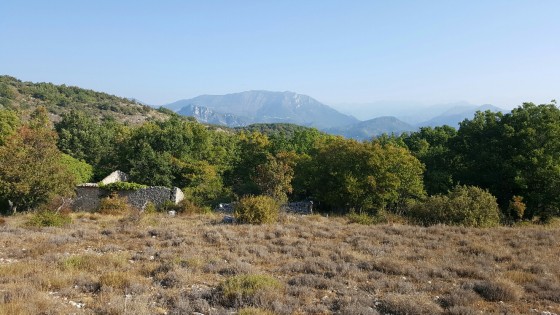 Le Mont Viale
