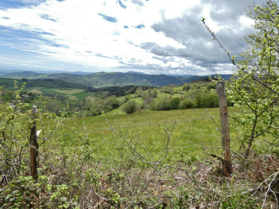 Le Mont