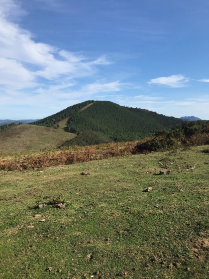 Le Monte Oindi