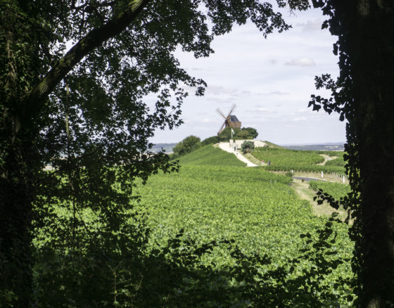 Le moulin dans son écrin