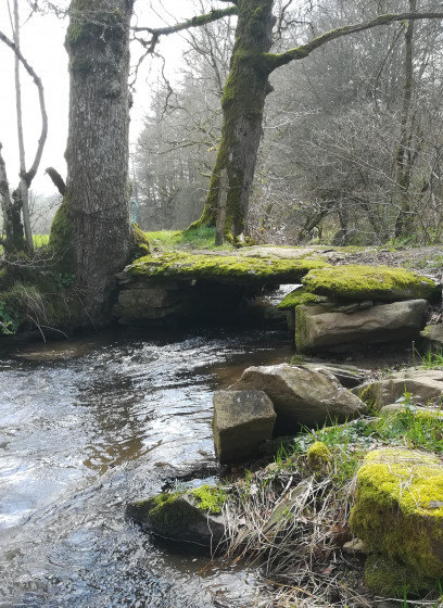 Petit pont sur le ruisseau de Connes