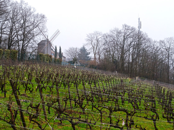 Le Moulin de Sannois