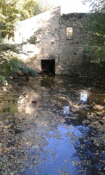 Le moulin du Furet.