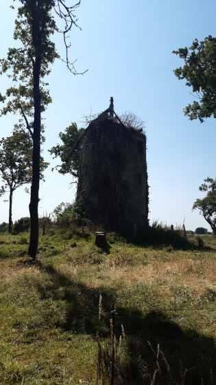 Le Moulin de la Davière