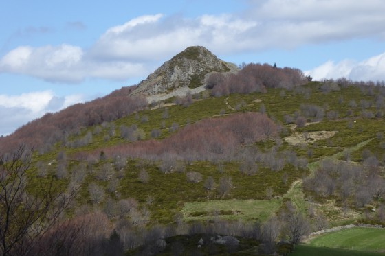 Le neck prismé du rocher de Cheylard