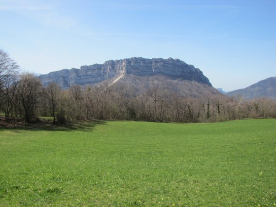 Le N&eacute;ron