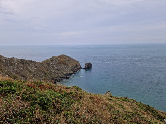 Le Nez de Jobourg