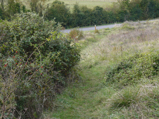 Le nouveau sentier