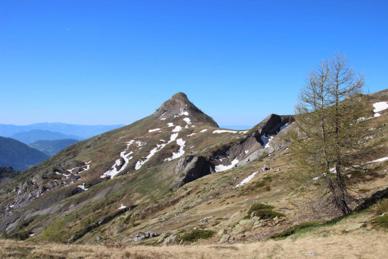 Le Palastre
