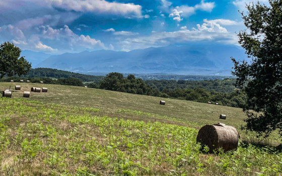 Le panorama depuis le wpt 3