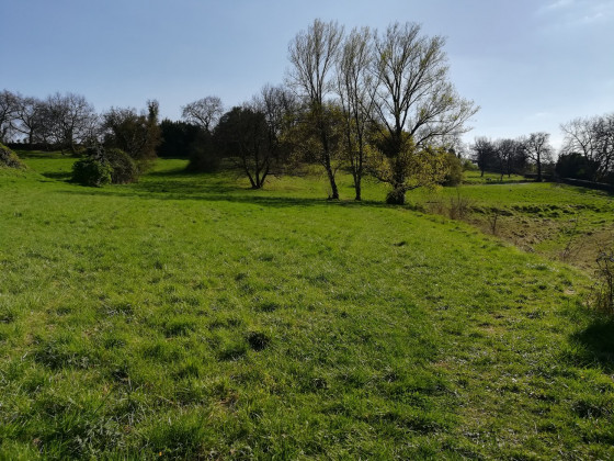 Le parc Rozin