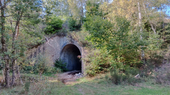 Le passage &agrave; gu&eacute;