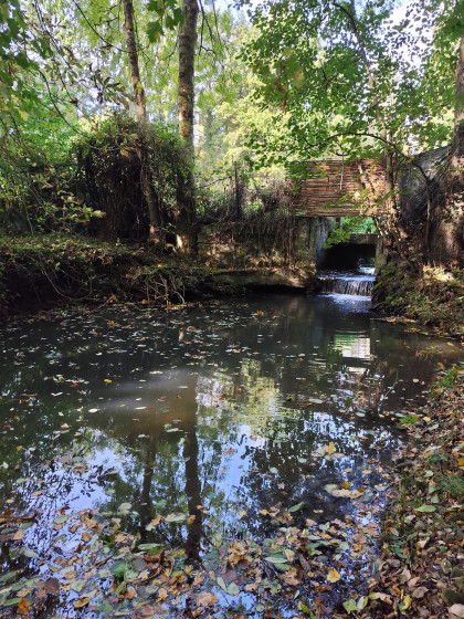 Le passage à gué