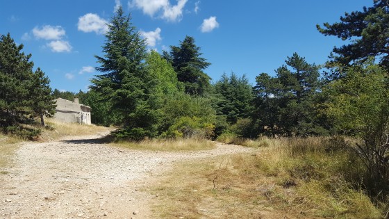 Le Pavillon du Rat