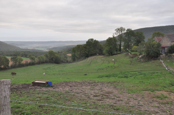 Le paysage