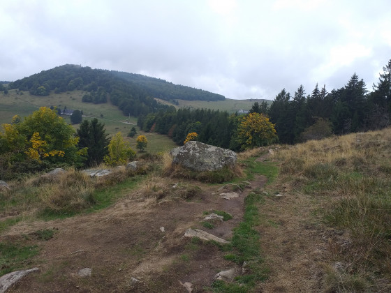 Le Petit Ballon depuis le sentier Herzog