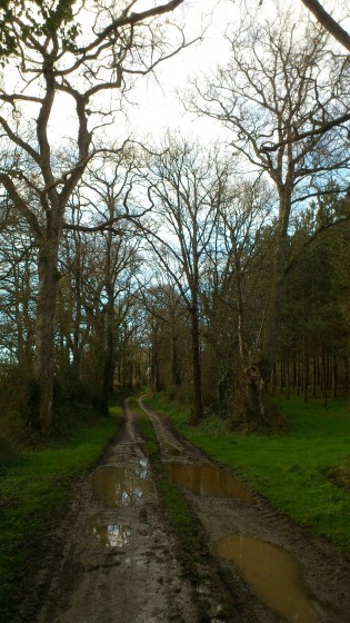 Le petit chemin