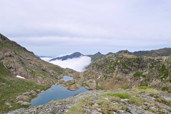 Le Petit Étang du Fourcat