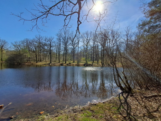 Le Petit Etang Neuf