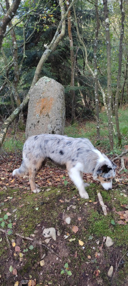 Le "petit menhir"