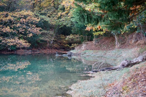 Le petit pont de bois