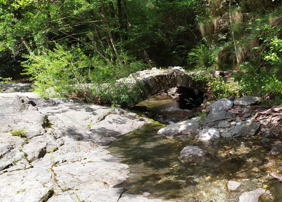 Le petit pont de pierre