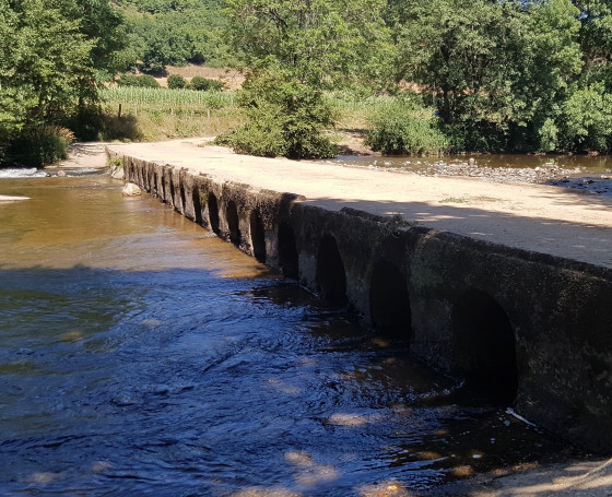 Le petit pont