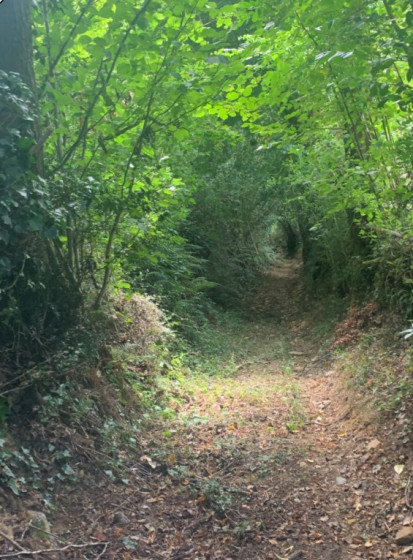 Le petit sentier qui descend