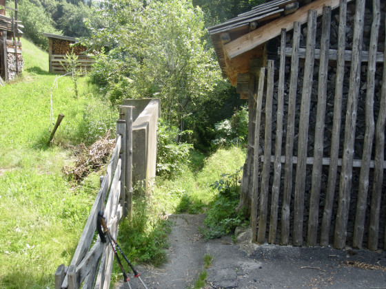 Le petit sentier qui part &agrave; gauche