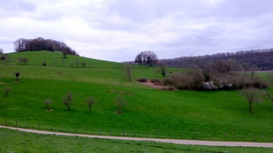 Le Petit Treuchot