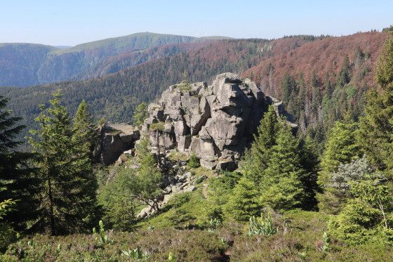 Le Petit Wurzelstein