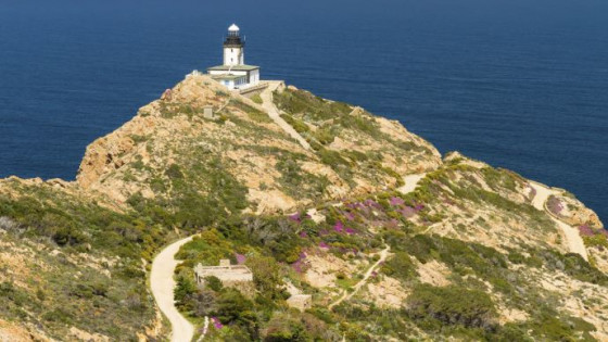 La Pointe De La Revellata