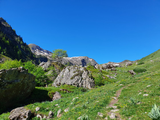 Le Pic d\'Ayous vu du Vallon d\'Aas de Bielle