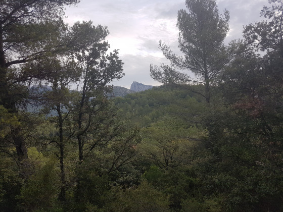 Le pic de Bertagne