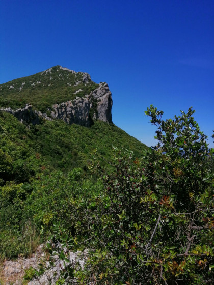 Le Pic là-haut